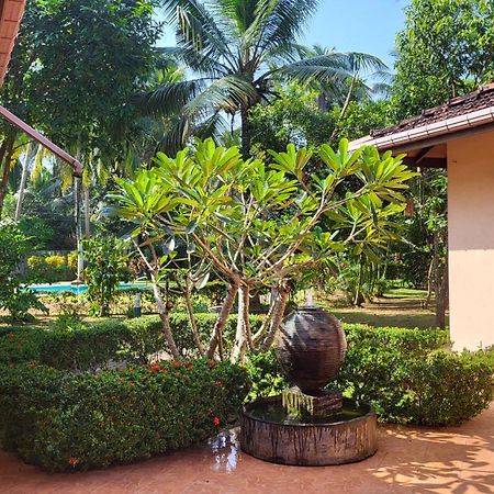King Coconut Lodge Habaraduwa Экстерьер фото