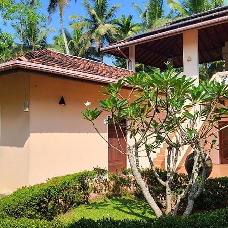 King Coconut Lodge Habaraduwa Экстерьер фото