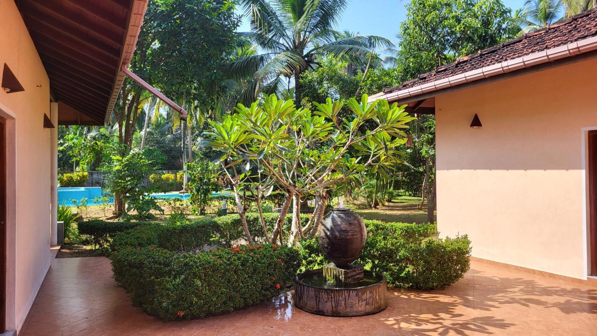 King Coconut Lodge Habaraduwa Экстерьер фото