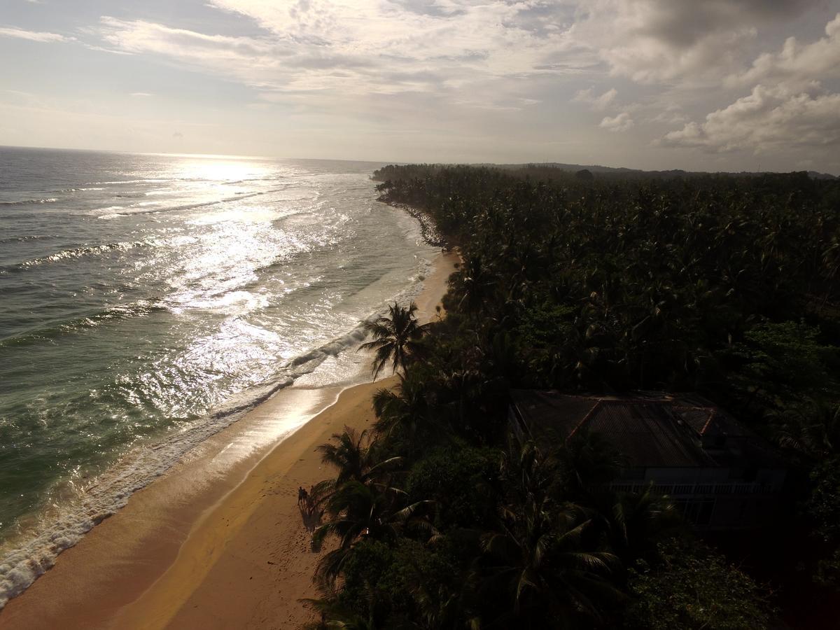 King Coconut Lodge Habaraduwa Экстерьер фото